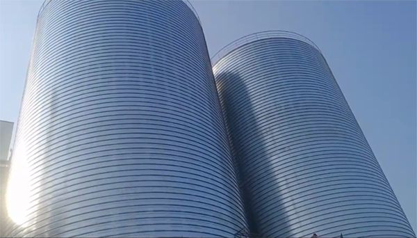 云县2座混凝土高架卷板仓